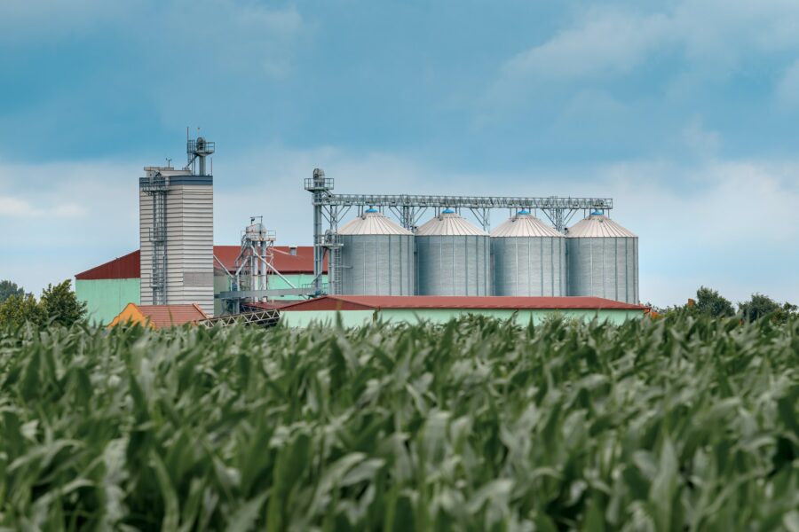 Grain storage silos in cultivated corn maize field